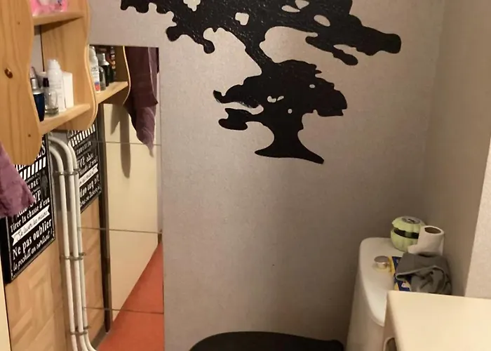 L'hospitalite 尼姆